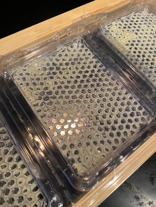 Beeswax Cube Mold